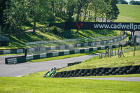 Middle Group Green Bikes